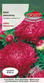 nasiona-aster-wysoki-piwoniowy-purpurowowisniowy-torseed