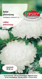 nasiona-aster-wysoki-piwoniowy-bialy-05g-torseed