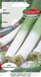 nasiona-por-elefant-1g-torseed