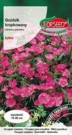 nasiona-gozdzik-kropkowany-rozowy-05g-torseed