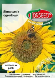 nasiona-slonecznik-jadalny-10g-torseed