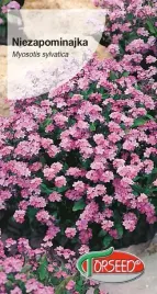 nasiona-niezapominajka-rozowa-03g-torseed
