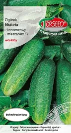 nasiona-ogorek-gruntowy-konserwowy-victoria-f1-5g-torseed