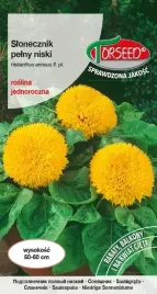 nasiona-slonecznik-kwiatowy-pelny-niski-zolty-2g-torseed