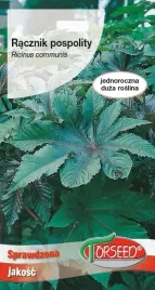 nasiona-racznik-pospolity-zielonolistny-6g-torseed