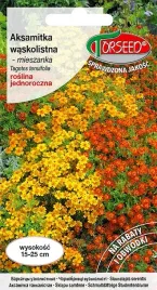 nasiona-aksamitka-waskolistna-mieszanka-05g-torseed