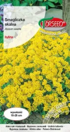 nasiona-smagliczka-skalna-zolta-05g-torseed