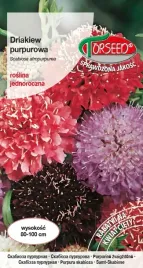 nasiona-driakiew-purpurowa-mieszanka-1g-torseed