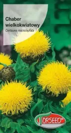 nasiona-chaber-wielkokwiatowy-zolty-torseed