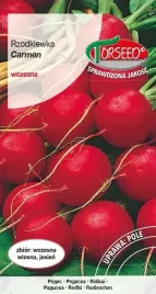 nasiona-rzodkiewka-do-uprawy-w-polu-carmen-5g-torseed