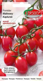 pomidor-malinowy-nasiona-do-600-pomidorow-cherry-kapturek-torseed-polskie