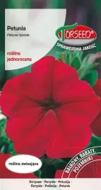 nasiona-petunia-zawieratka-czerwona-hybrid-002g-torseed