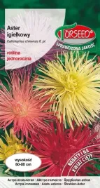 nasiona-aster-wysoki-igielkowy-mieszanka-1g-torseed