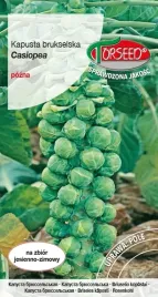 nasiona-kapusta-brukselska-casiopea-2g-torseed