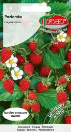 nasiona-poziomka-rujana-02g-torseed-nasiona-poziomek