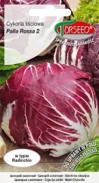nasiona-salata-cykoria-palla-rossa-2g-torseed