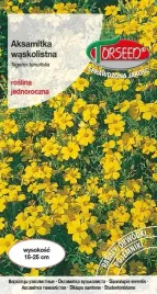 nasiona-aksamitka-waskolistna-zolta-1g-torseed