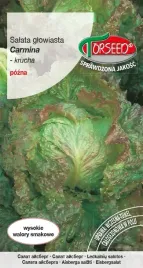 nasiona-salata-glow-krucha-do-upr-w-tunelu-i-w-polu-carmina-02g-torsee