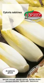 nasiona-cykoria-salatowa-spadona-2g-torseed