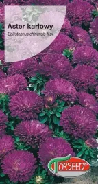 nasiona-aster-karlowy-ciemnoniebieski-05g-torseed