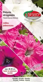 nasiona-petunia-fryzowana-strzepiasta-koronkowy-welon-biala-torseed