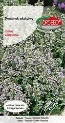 nasiona-tymianek-wlasciwy-thymus-vulgaris-ziolo