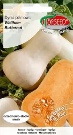 nasiona-dynia-pizmowa-waltham-butternut-3g-torseed