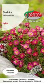 nasiona-skalnica-czerwona-005g-torseed