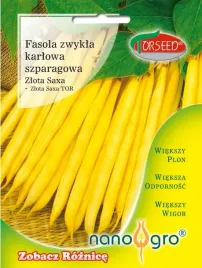 nasiona-fasola-karlowa-zolta-zlota-saxa-nano-gro-torseed