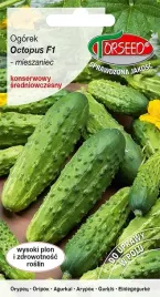 nasiona-ogorek-gruntowy-konserwowy-octopus-f1-20szt-torseed