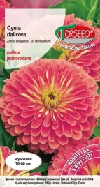 nasiona-cynia-daliowa-lososioworozowa-1g-torseed