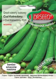 groch-pomarszczone-nasiona-cud-kelvedonu-torseed-50g-siewny-polska-marka