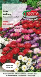 nasiona-aster-karlowy-mieszanka-1g-torseed