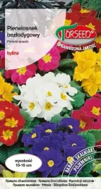 nasiona-pierwiosnek-bezlodygowy-mieszanka-01g-torseed
