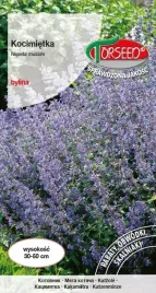 kocimietka-niebieska-nasiona-torseed-miododajna-do-siania-nasionka-torebka