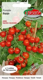 nasiona-pomidor-czeresniowy-typ-cherry-bajaja-01g-torseed