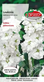 nasiona-lewkonia-letnia-excelsior-biala-05g-torseed