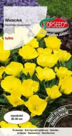 nasiona-wiesiolek-zolty-torseed