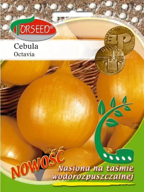 nasiona-cebula-octavia-tasma-torseed-rodzaj-rosliny-cebula