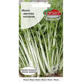 nasiona-mizuna-japonska-musztarda-2g-torseed