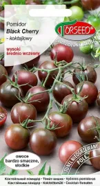 nasiona-pomidor-czeresniowy-typ-cherry-black-cherry-01g-torseed