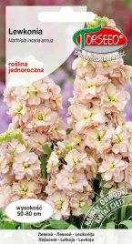 nasiona-lewkonia-letnia-excelsior-pomaranczowocielista-torseed