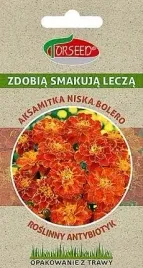 nasiona-aksamitka-rozpierzchla-torseed-antybiotyk