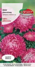 nasiona-aster-wysoki-piwoniowy-rozowy-torseed