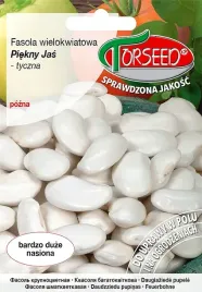 nasiona-fasola-wielokwiatowa-piekny-jas-40g-torseed