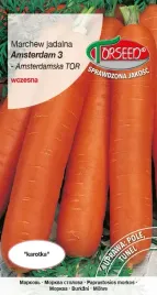 marchew-wczesna-nasiona-amsterdam-3-torseed-5g-nasiona-z-torunia