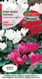 nasiona-fiolek-alpejski-cyklamen-mieszanka-10szt-torseed
