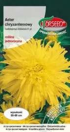 nasiona-aster-wysoki-chryzantemowy-oliwkowozolty-05g-torseed