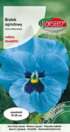 bratek-niebieski-wielkokwiatowy-nasiona-torseed-piekne-kwiaty-do-ogrodu