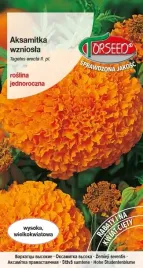 nasiona-aksamitka-wielkokwiatowa-wysoka-wzniosla-pomaranczowa-1g-torsee